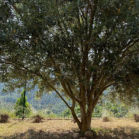 Et Piscine Au Sein De La Bastide De La Breure * Les Ollières-sur-Eyrieux